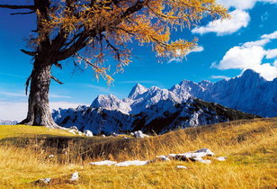 PREZLC, GOSTINSTVO IN TURIZEM d.o.o., KRANJSKA GORA 