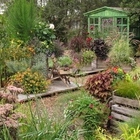 trajnice carniola - gojenje, matic sever s