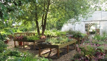 TRAJNICE CARNIOLA - GOJENJE, MATIC SEVER s.p.