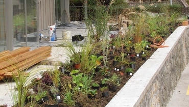 TRAJNICE CARNIOLA - GOJENJE, MATIC SEVER s.p.