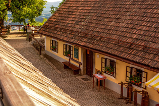 GOSTILNA LEDINEK ANA ČEŠNOVAR S.P.