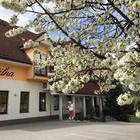 delalut gostinstvo, turizem in storitve d