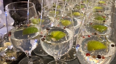 DESTILARNA SVAROG, Bojan Lunežnik s.p., proizvodnja žganih pijač in druge storitve DESTILARNA SVAROG, Bojan Lunežnik s.p., proizvodnja žganih pijač in druge storitve