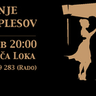 Športne in poslovne storitve Radovan Trifković s.p. Plesni večeri - Preplesavanje v Novem mestu