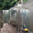 Gradnja in vzdrževanje gozdnih cest in vlak